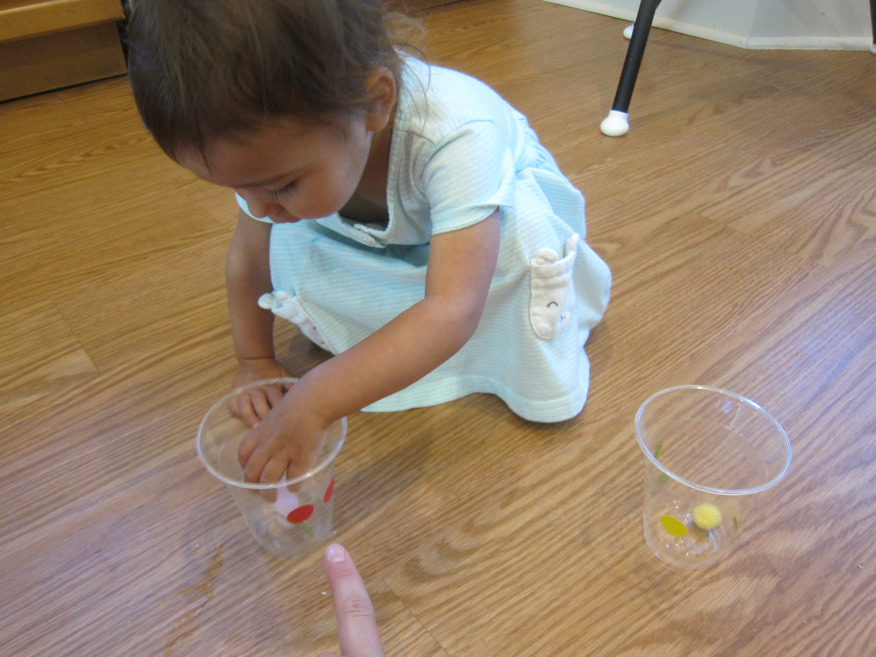 More Pom Pom Fun (2)