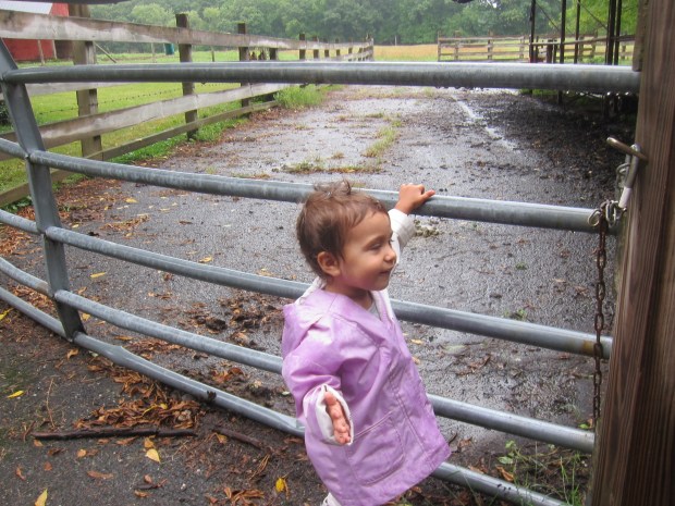 Playing in the Rain (10)