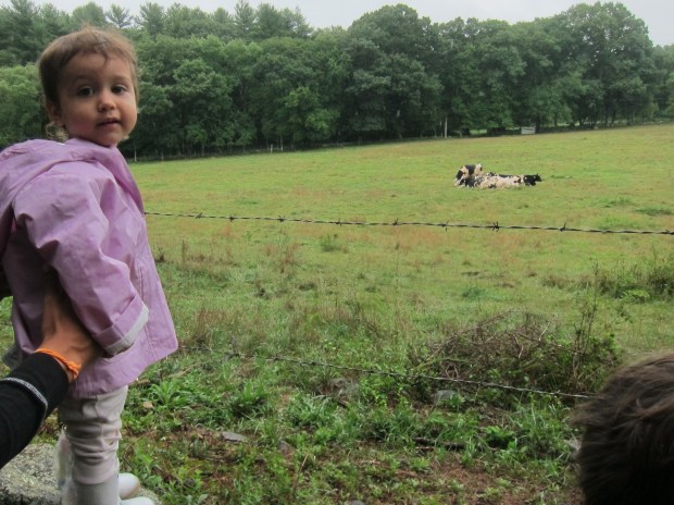 Playing in the Rain (6)