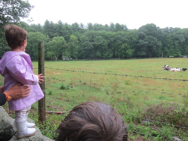 Playing in the Rain (7)