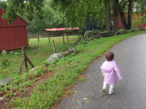 Playing in the Rain (8)