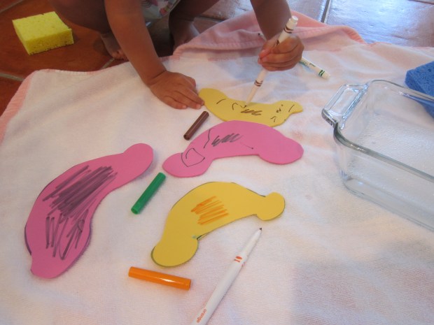 Pretend Car Wash (4)