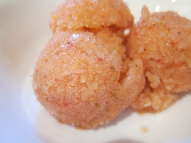 Strawberry Sorbet (2)