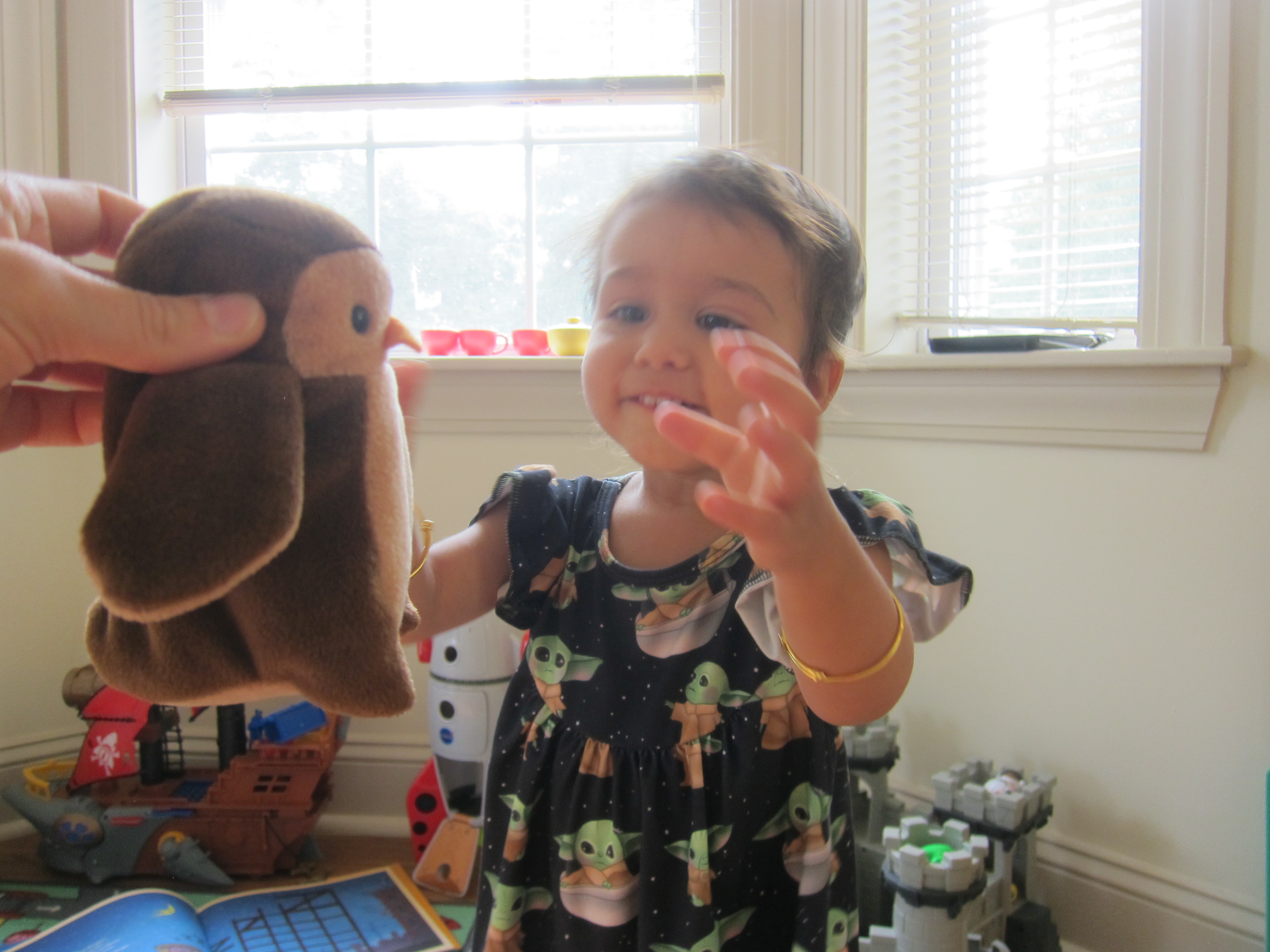 Walking Through the Jungle (3)