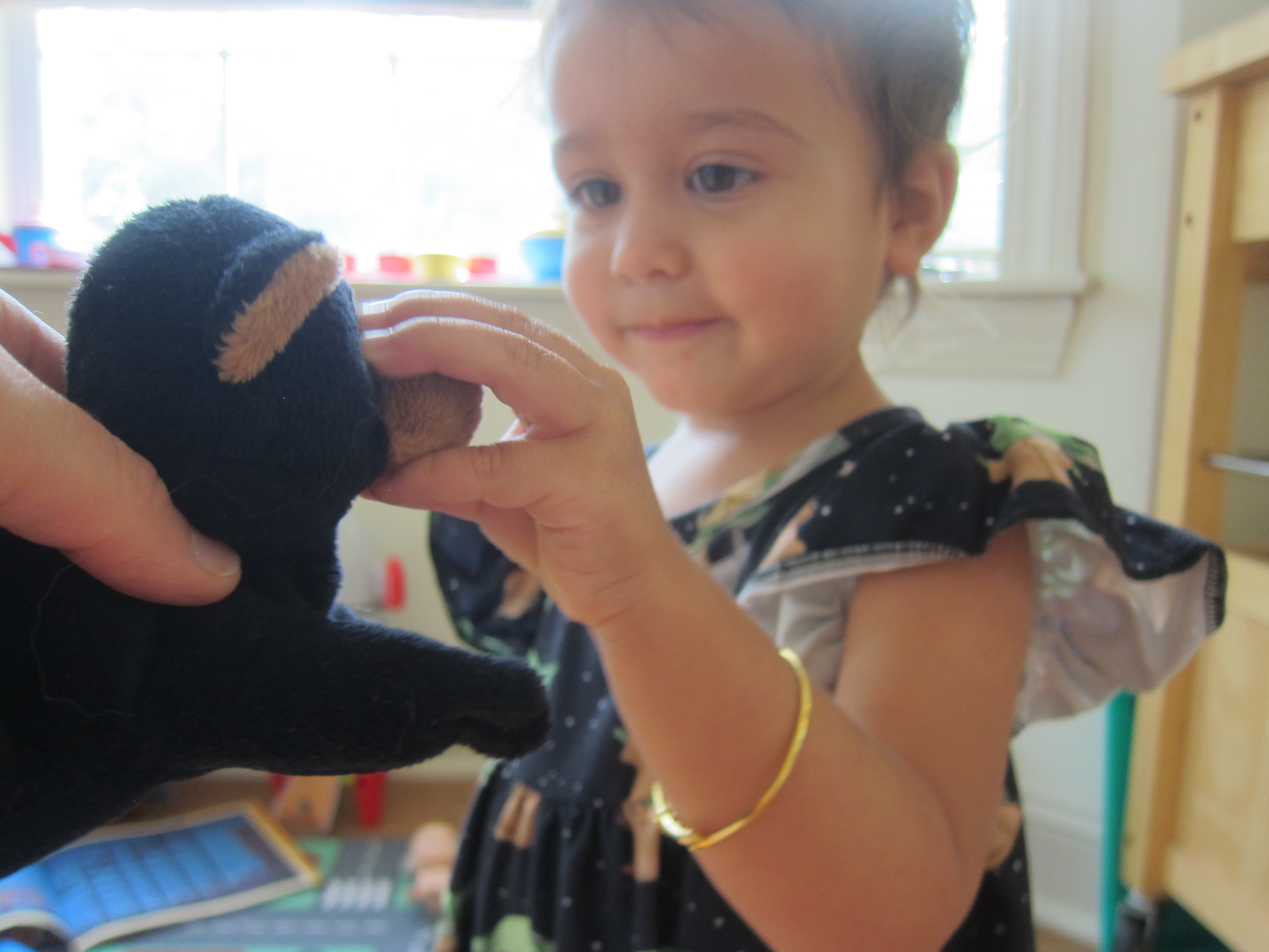 Walking Through the Jungle (4)