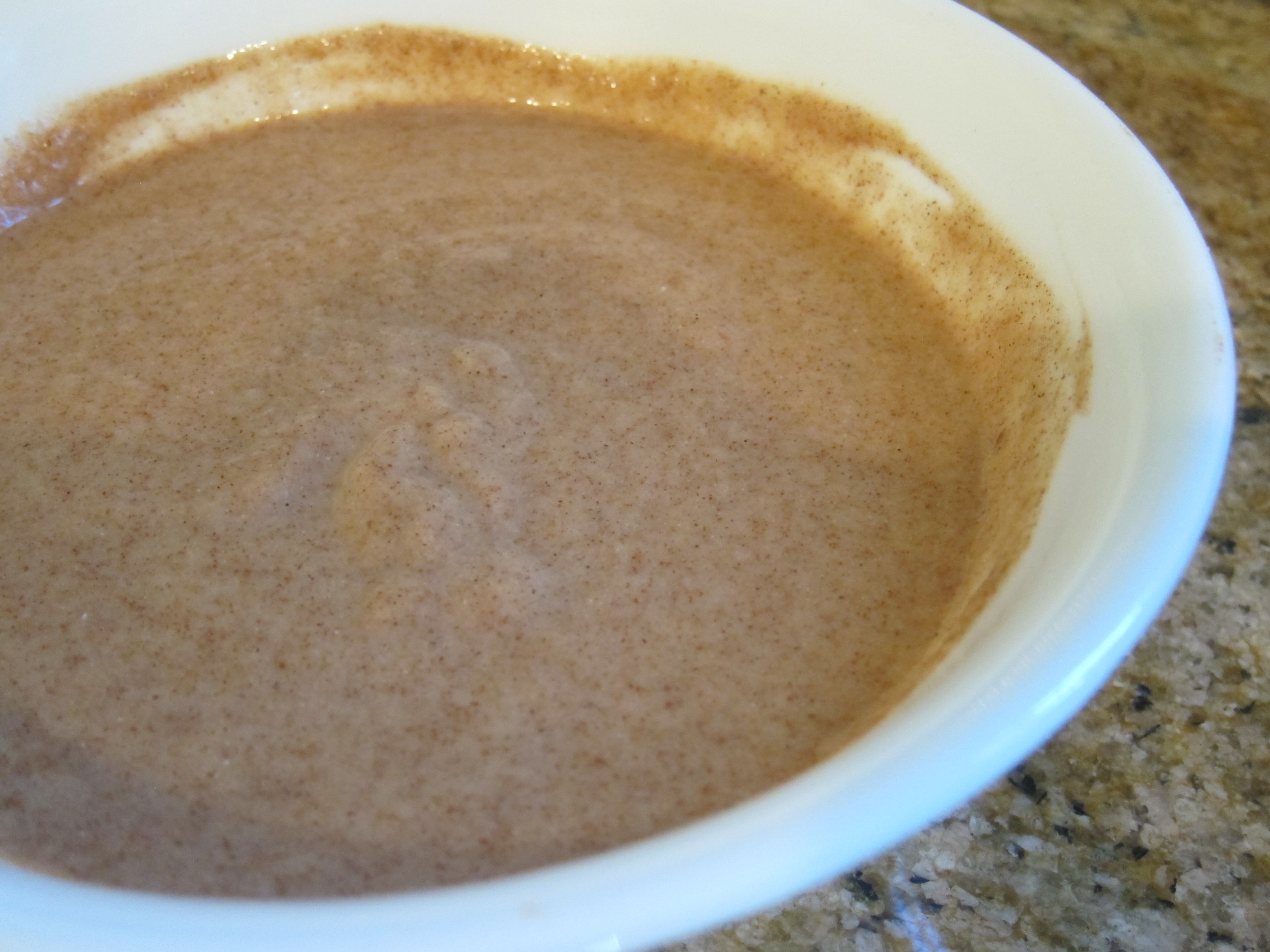 Yogurt Applesauce Dip (1)