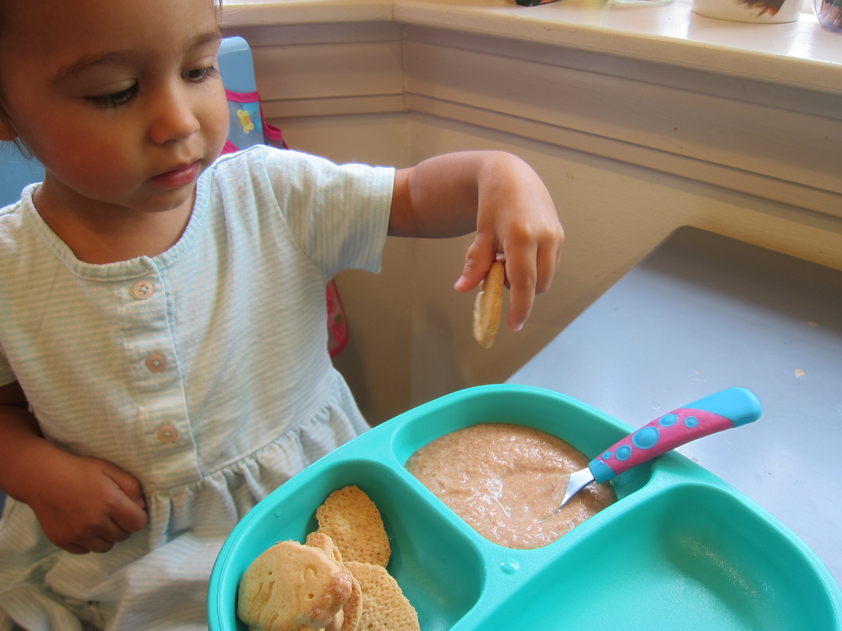 Yogurt Applesauce Dip (4)