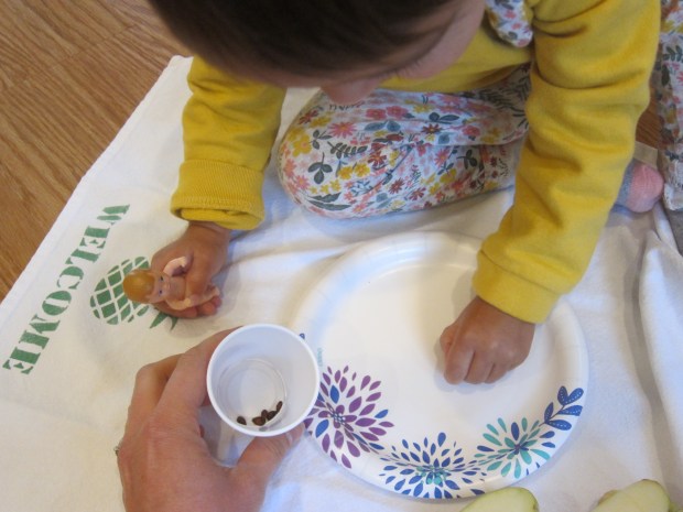 Apple Seed Count (2)