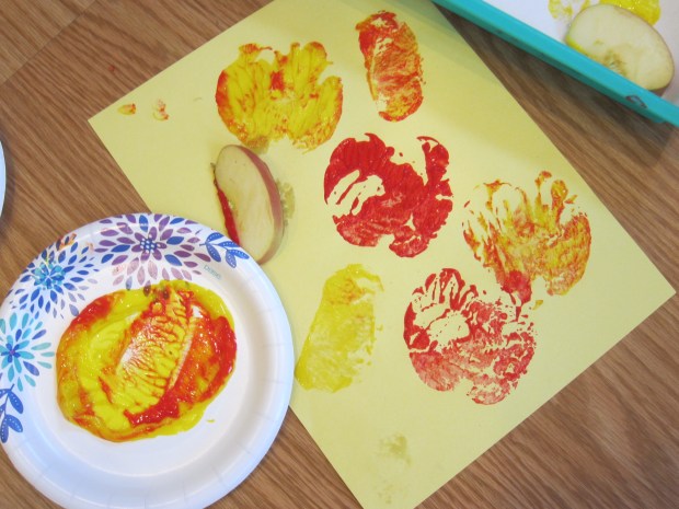 Apple Seed Count (4)