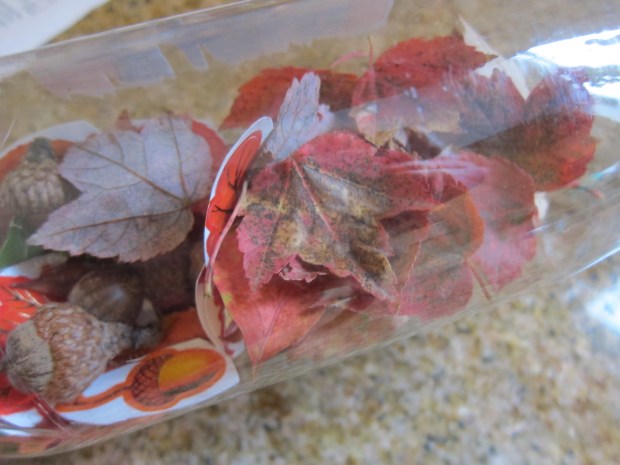 Autumn Sensory Bottles (11)