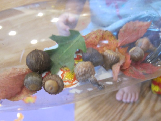 Autumn Sensory Bottles (7)