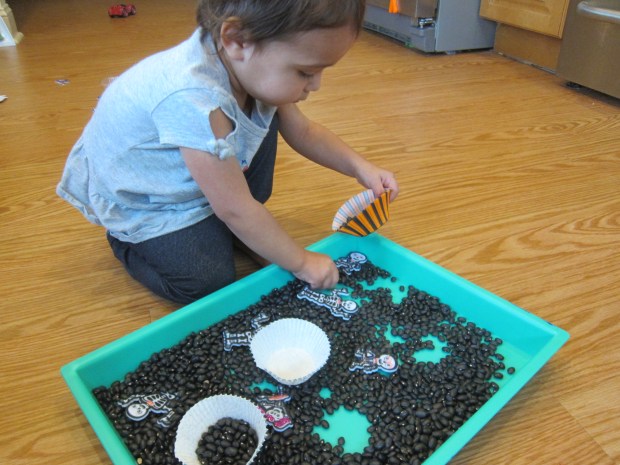 Black Bean Sandbox (3)