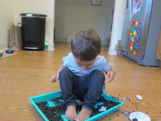 Black Bean Sandbox (8)