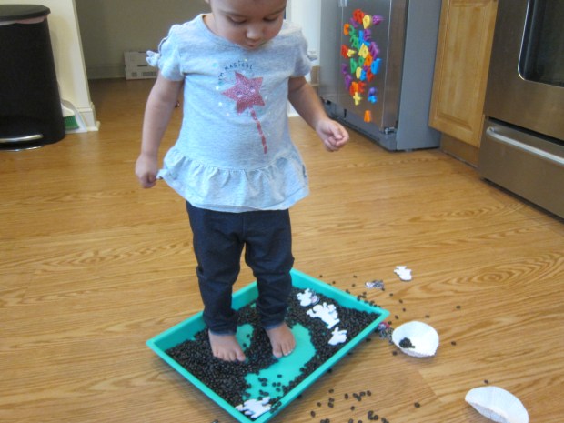 Black Bean Sandbox (9)