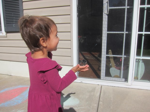 Can You Find Knee (13)