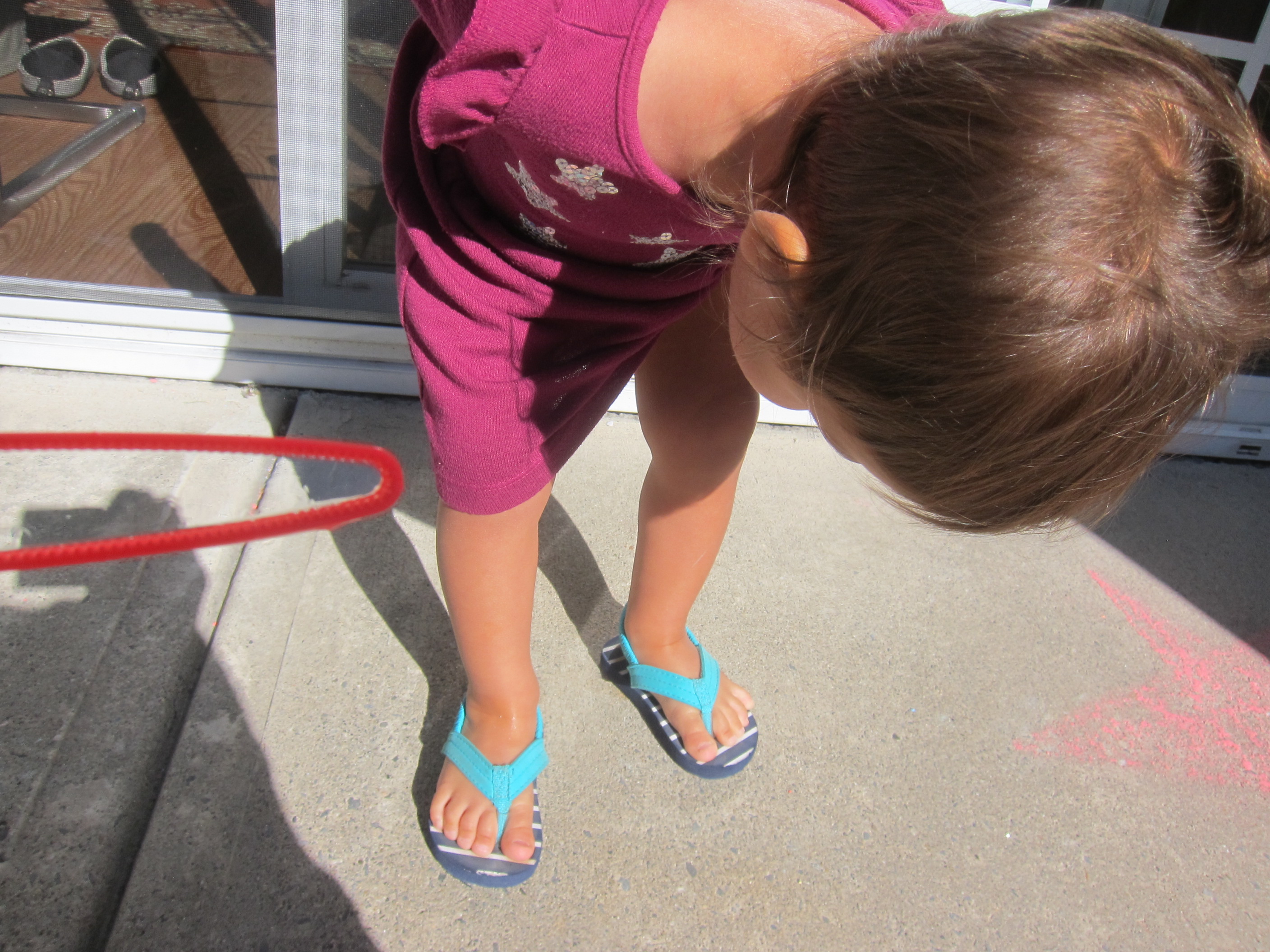 Can You Find Knee (2)