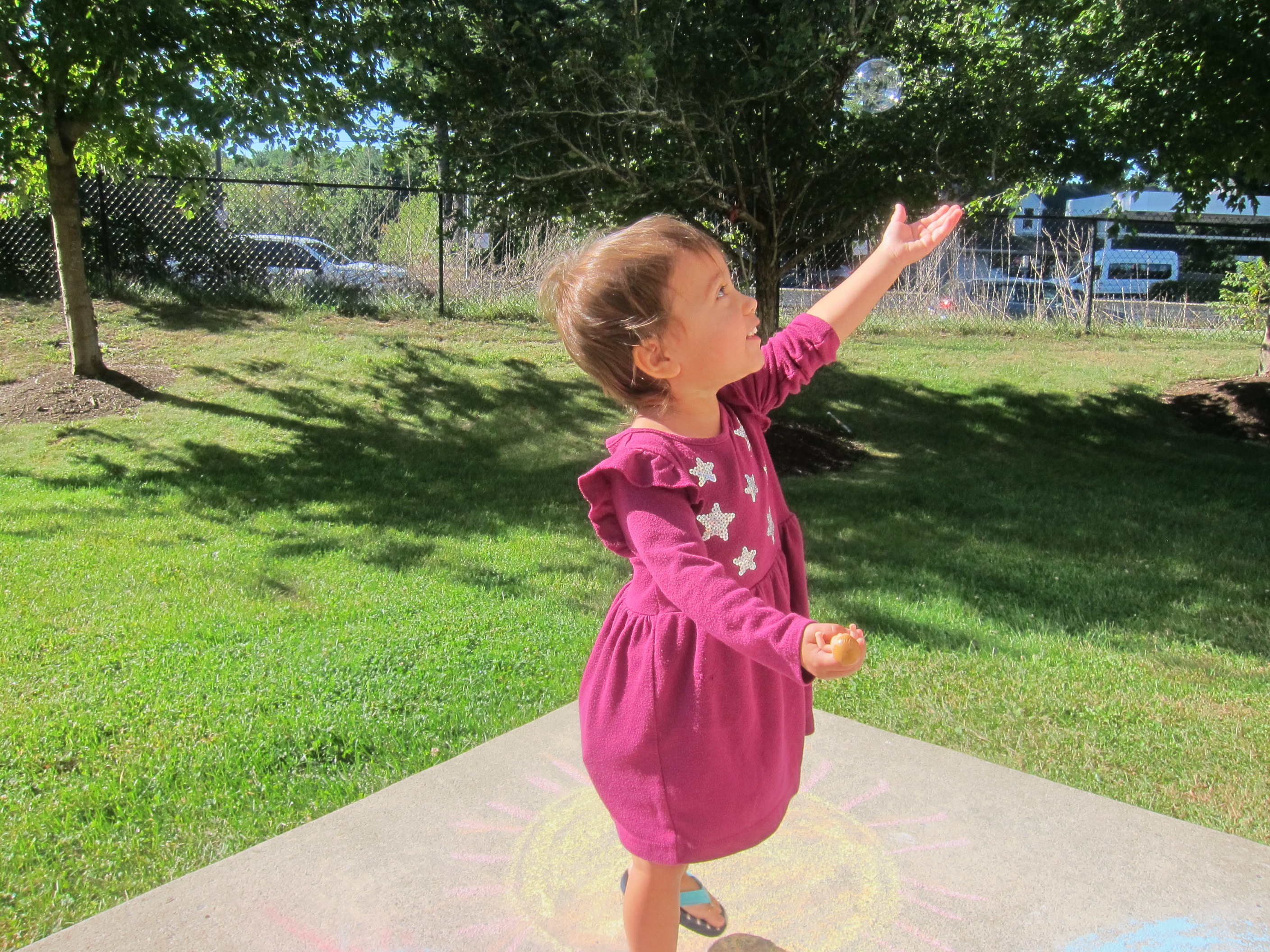 Can You Find Knee (4)