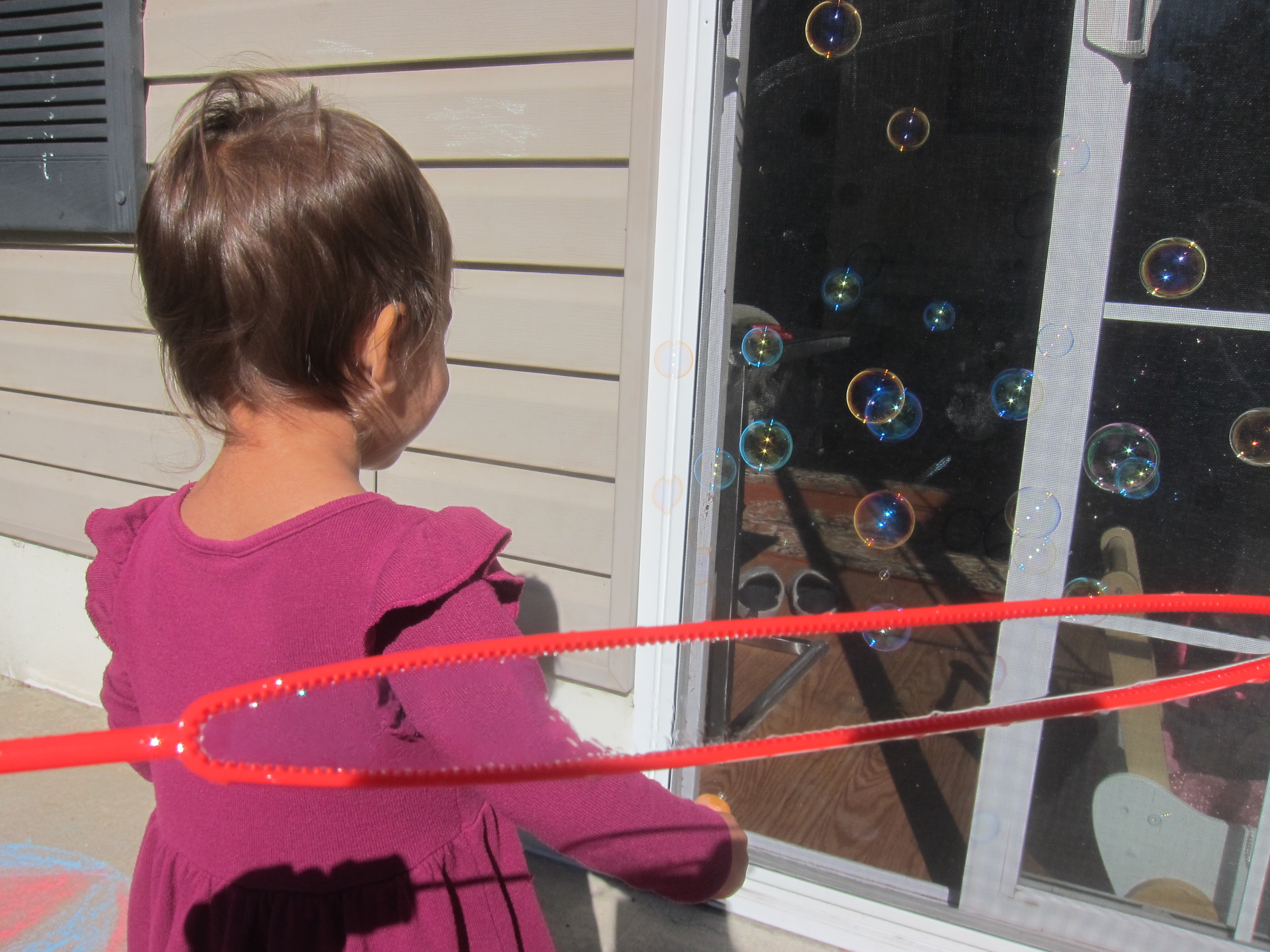 Can You Find Knee (5)