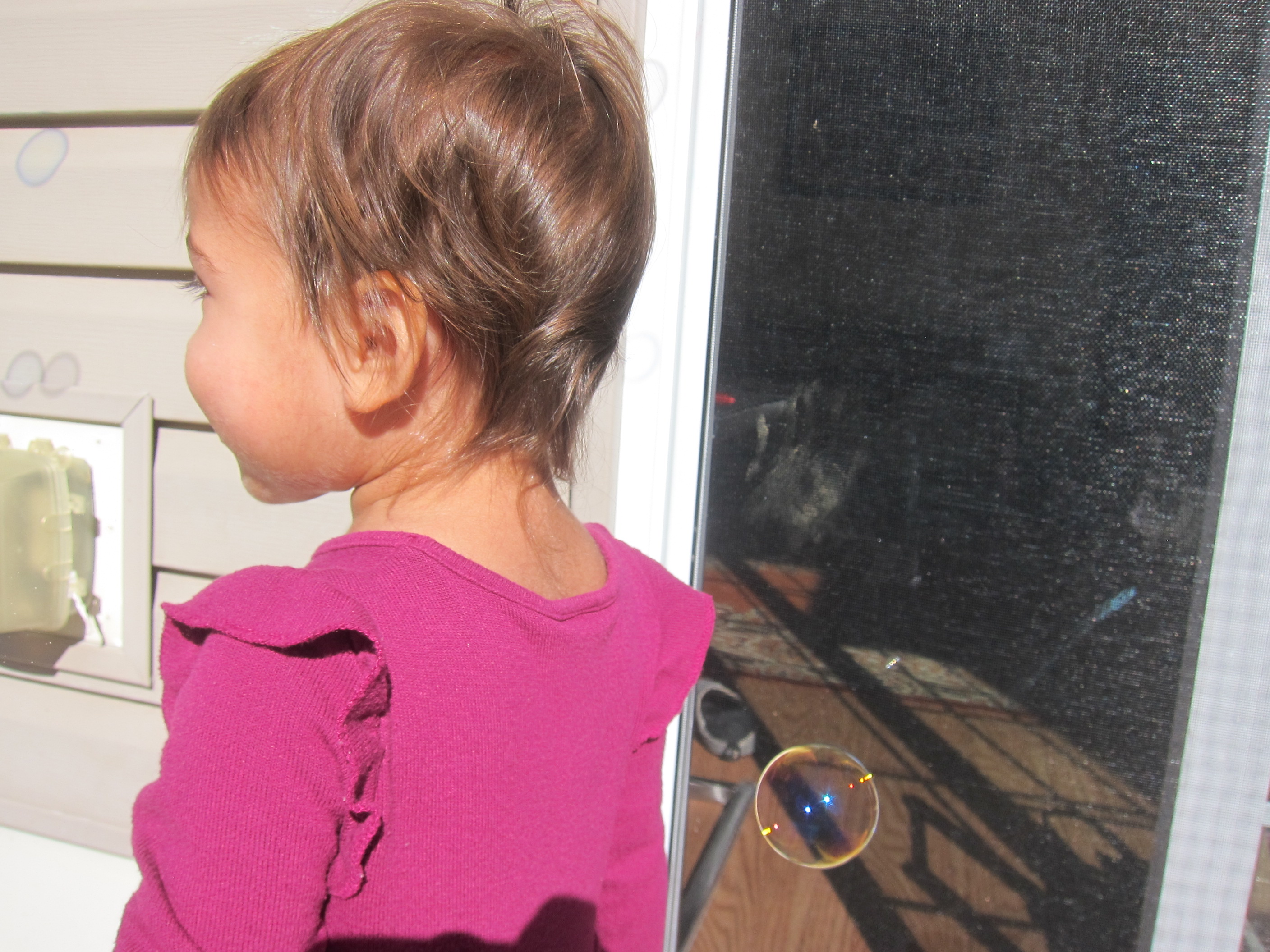 Can You Find Knee (6)