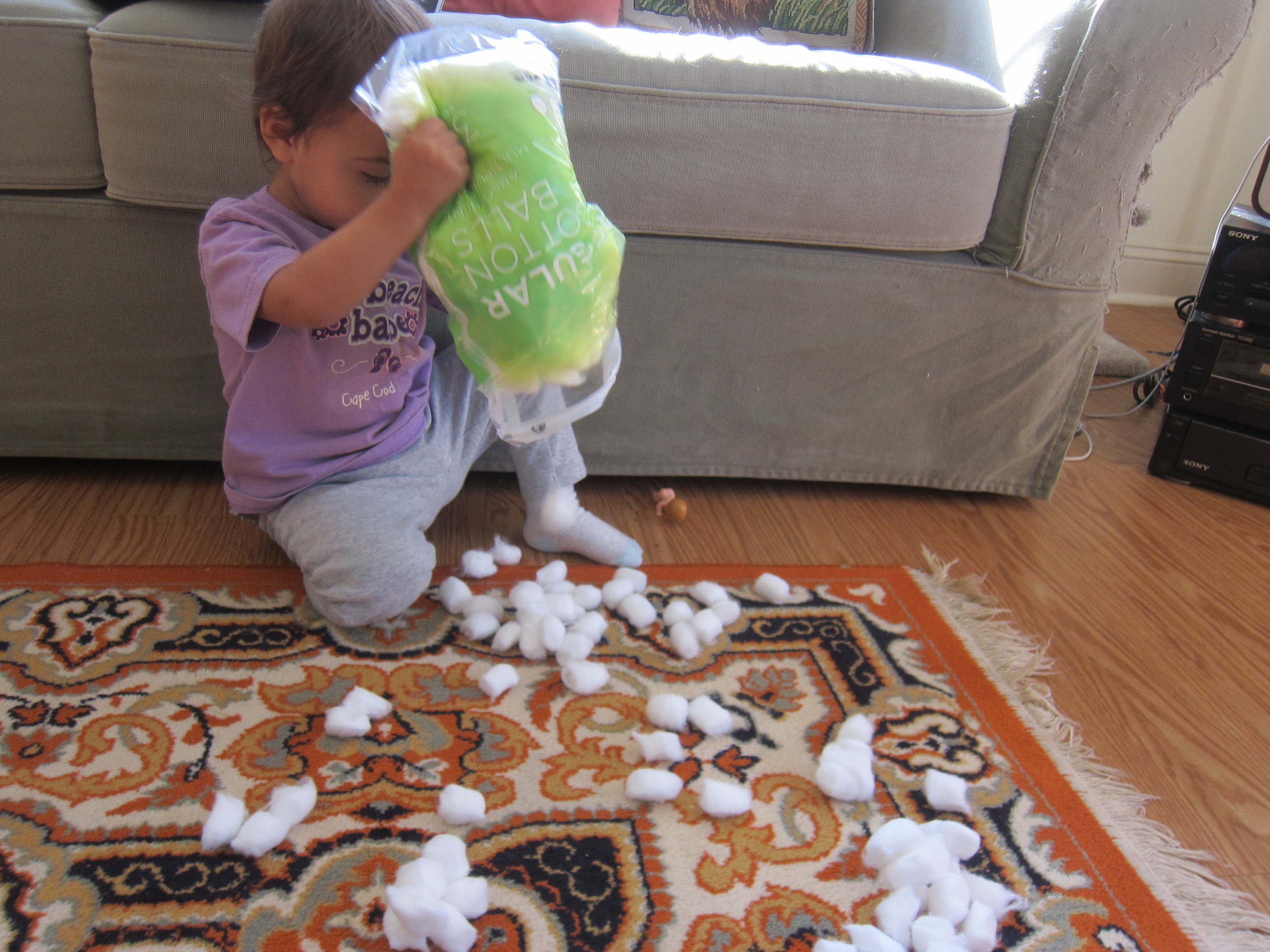 Day at the Races (1)