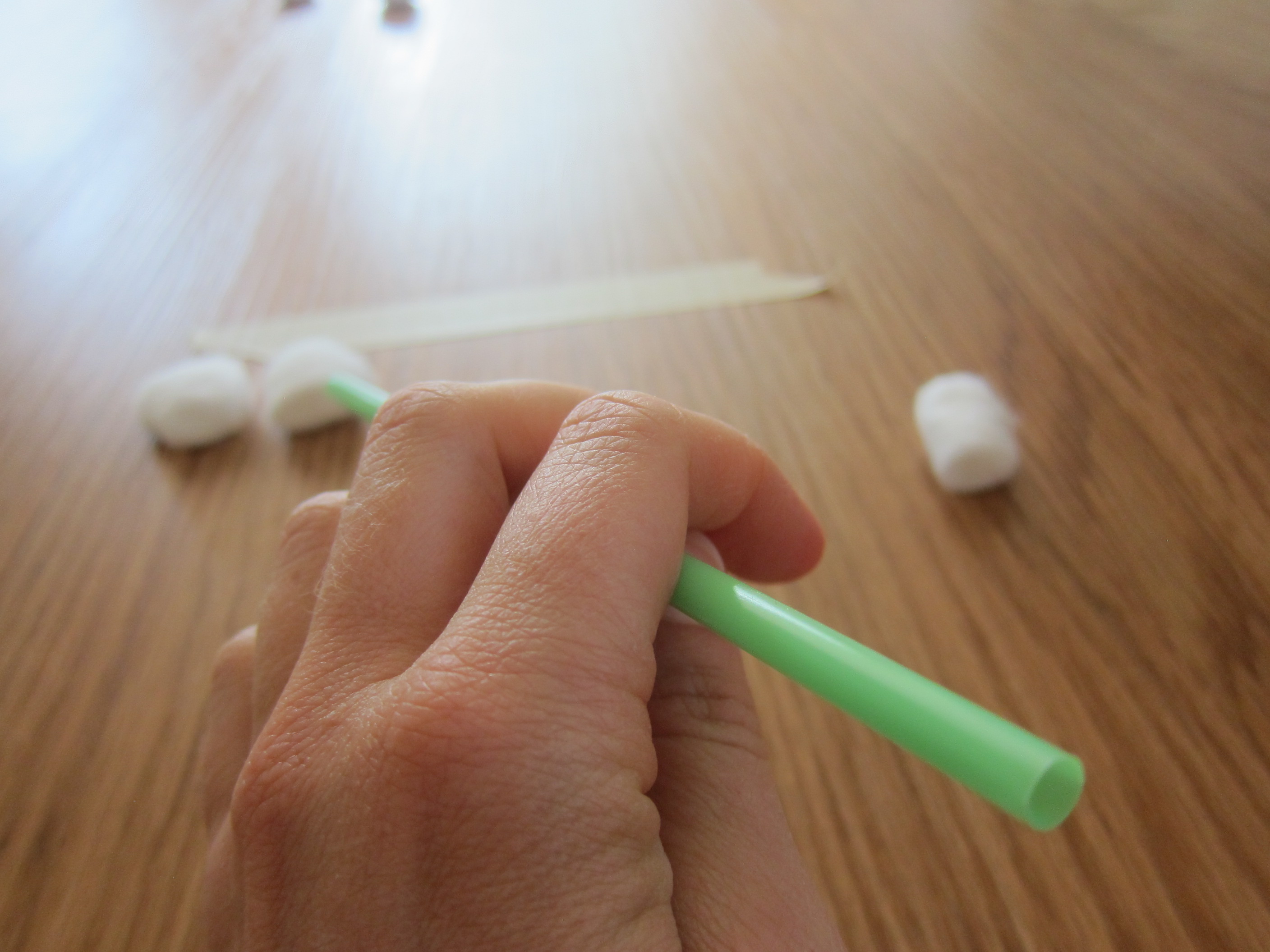 Day at the Races (3)