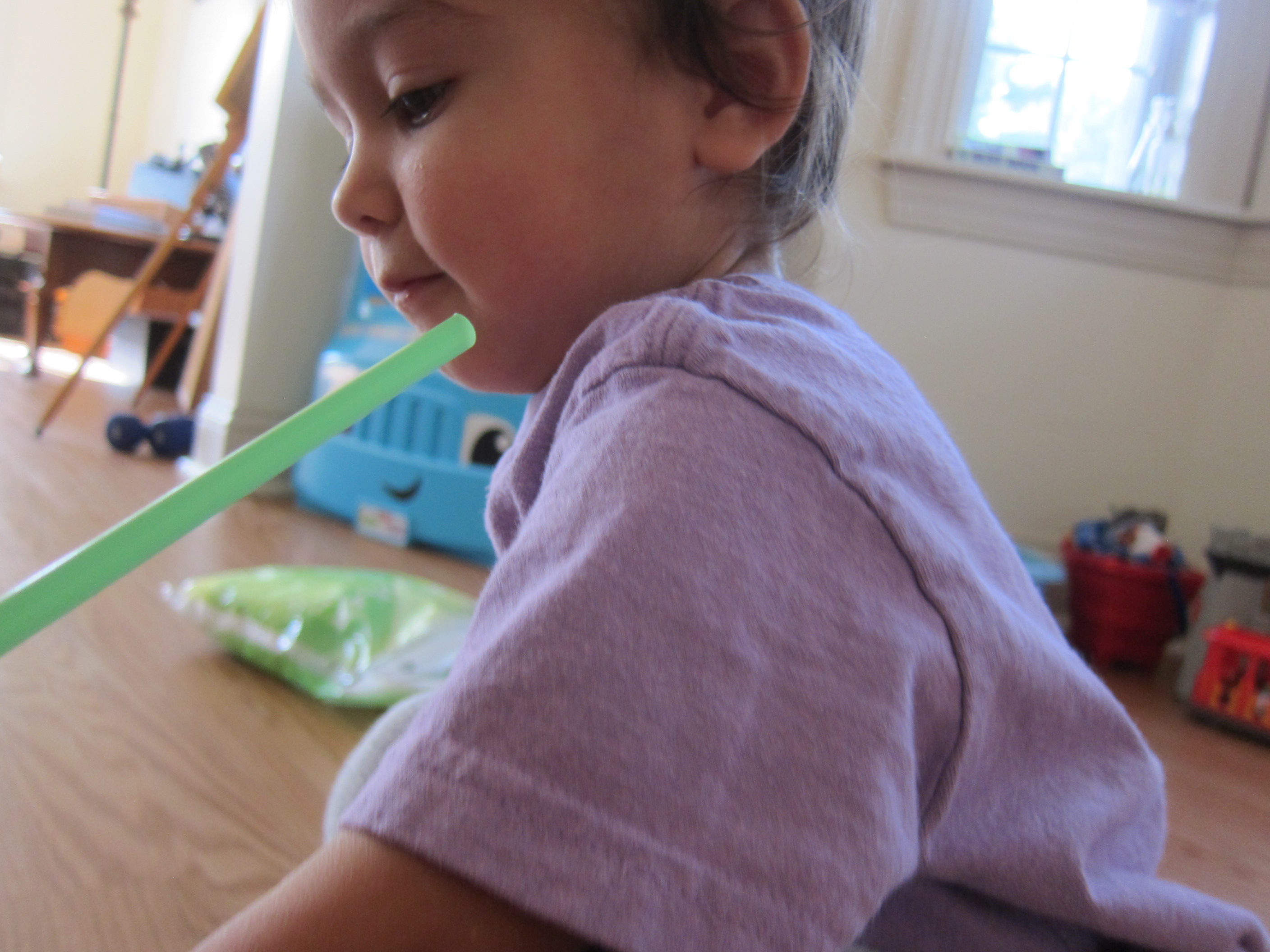 Day at the Races (5)