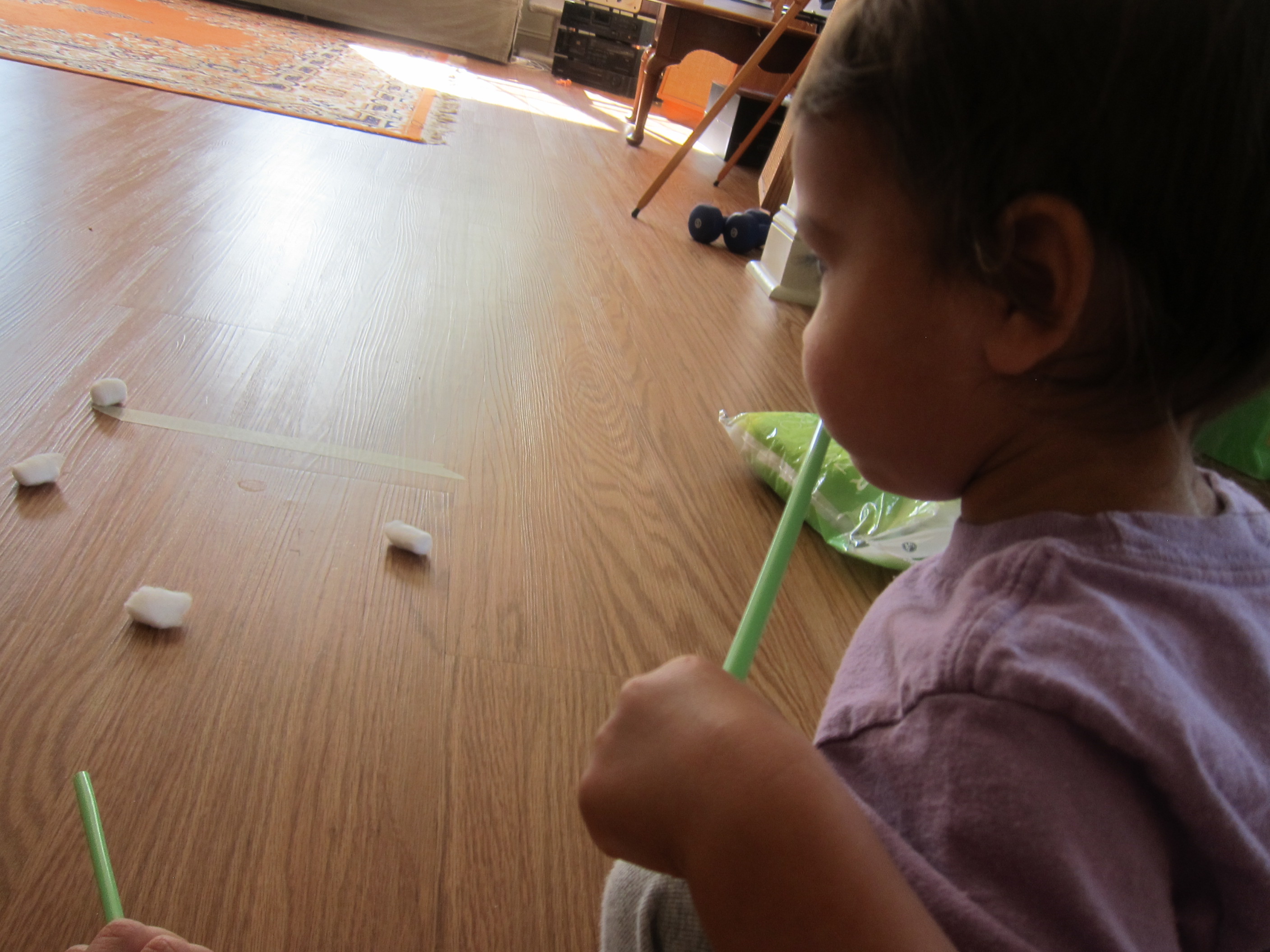 Day at the Races (6)