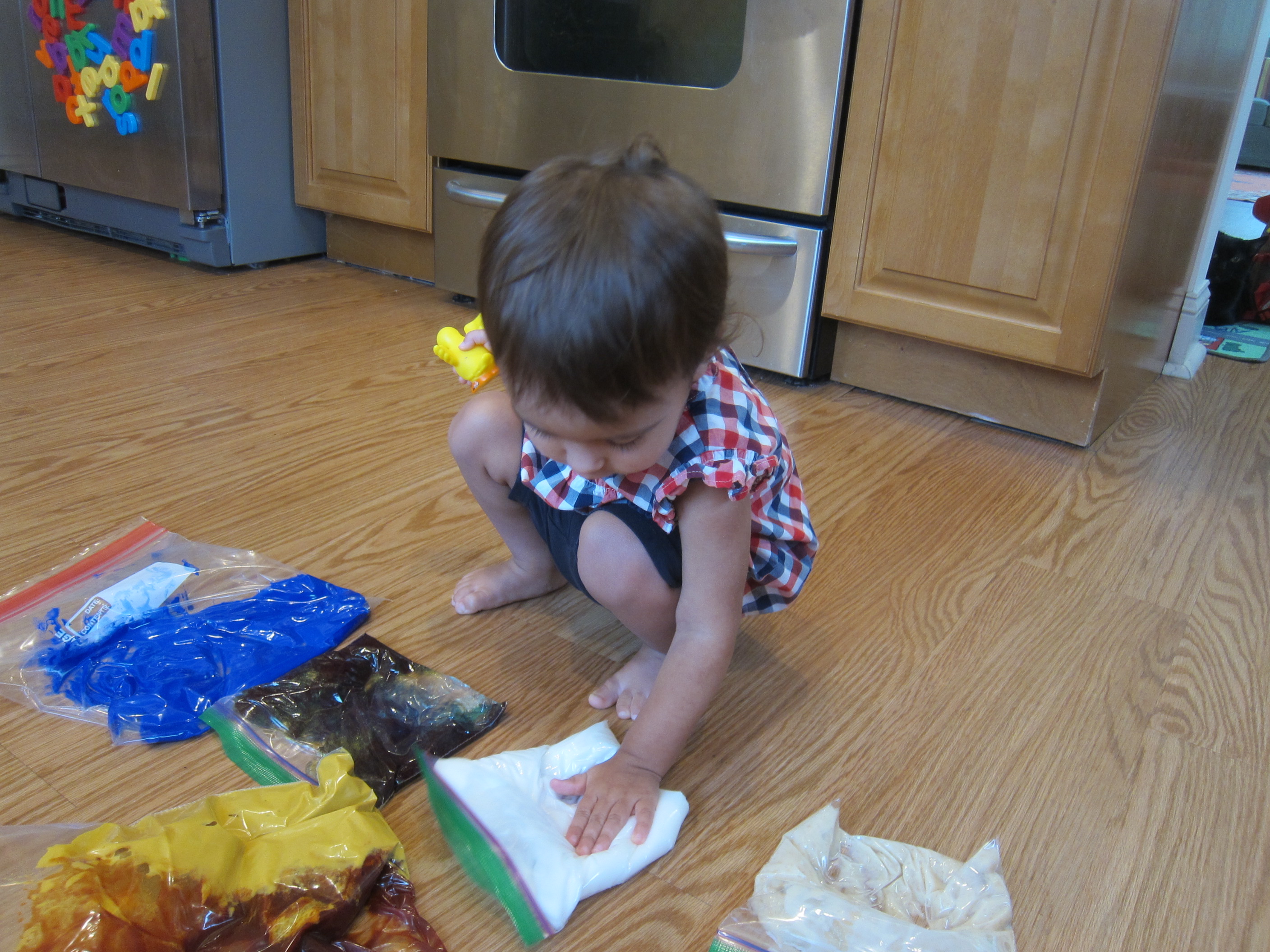 No-Cook Squishy Bag (5)