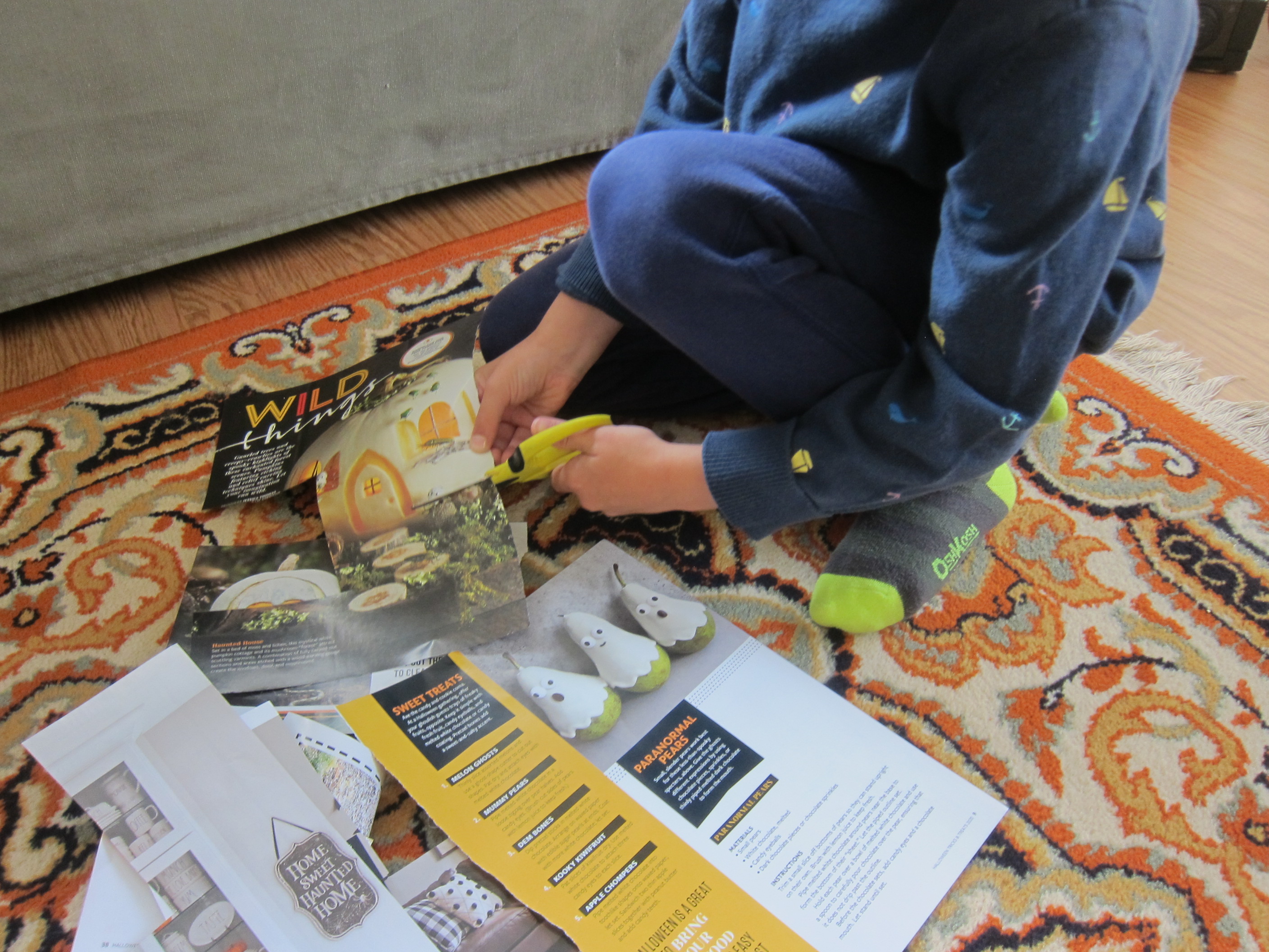 Sibling Picture Book (3)