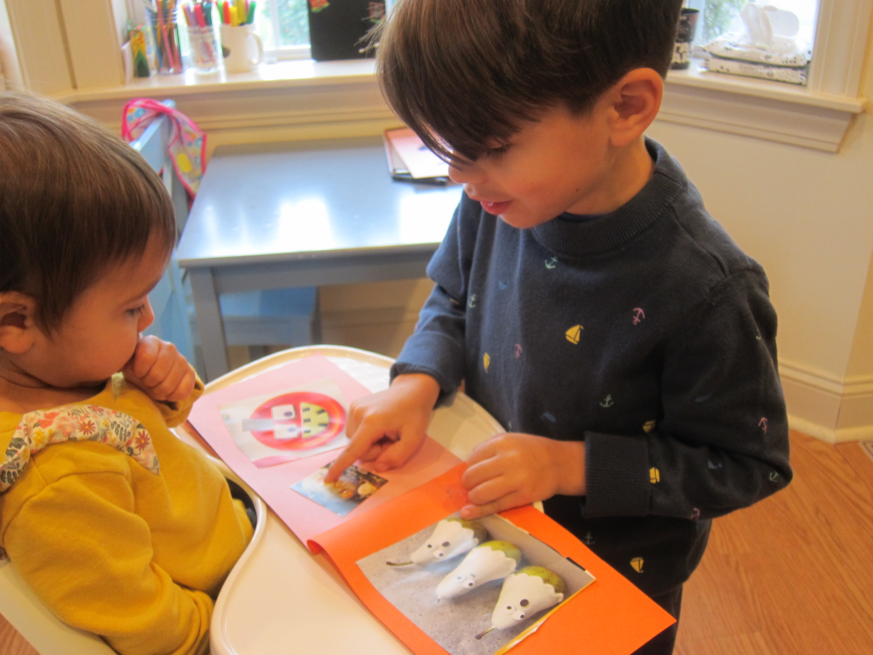 Sibling Picture Book (4)