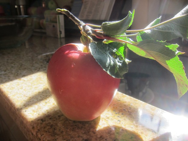 Spiced Baked Apples (1)