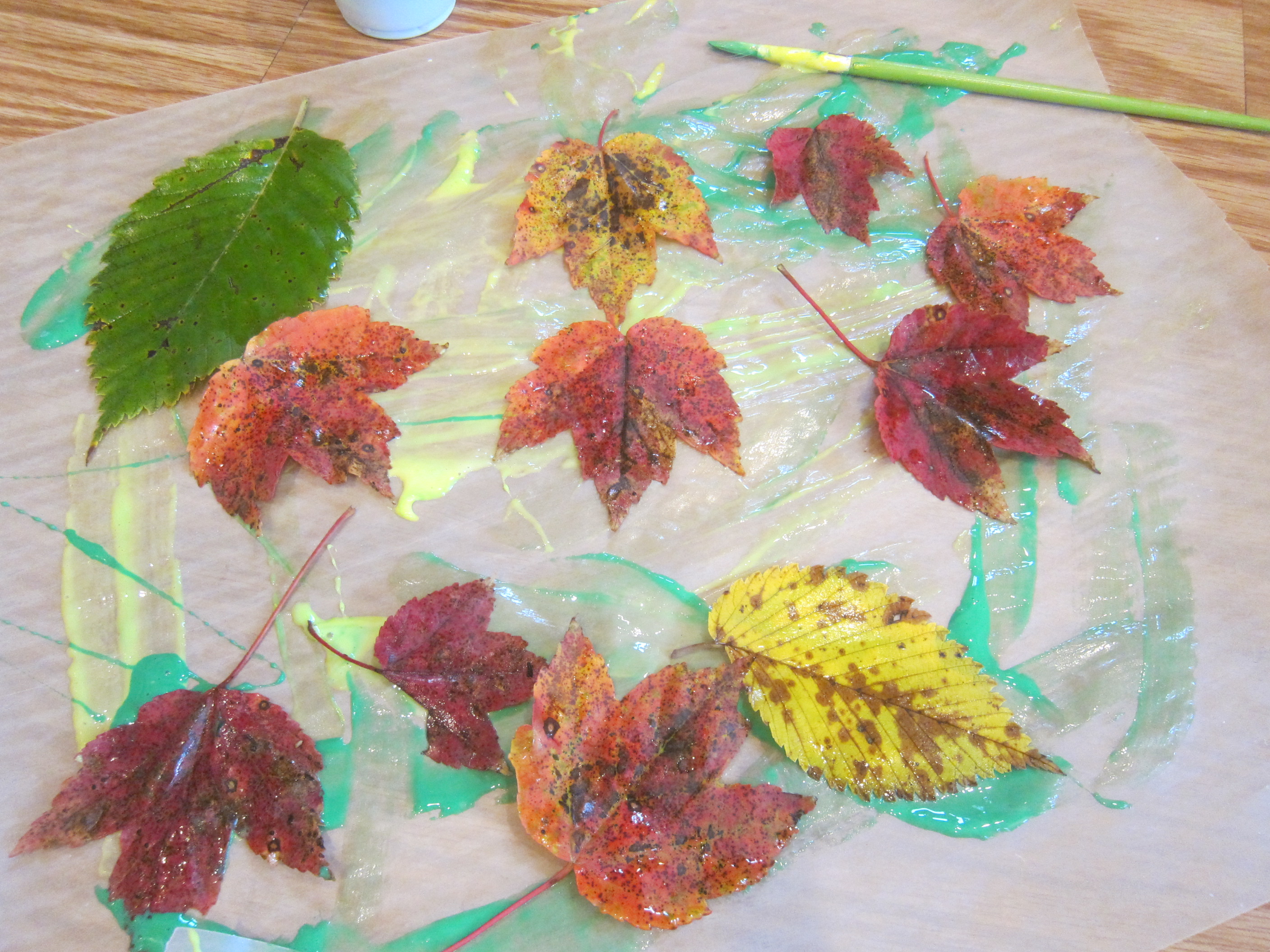 Wax Paper Art (4)