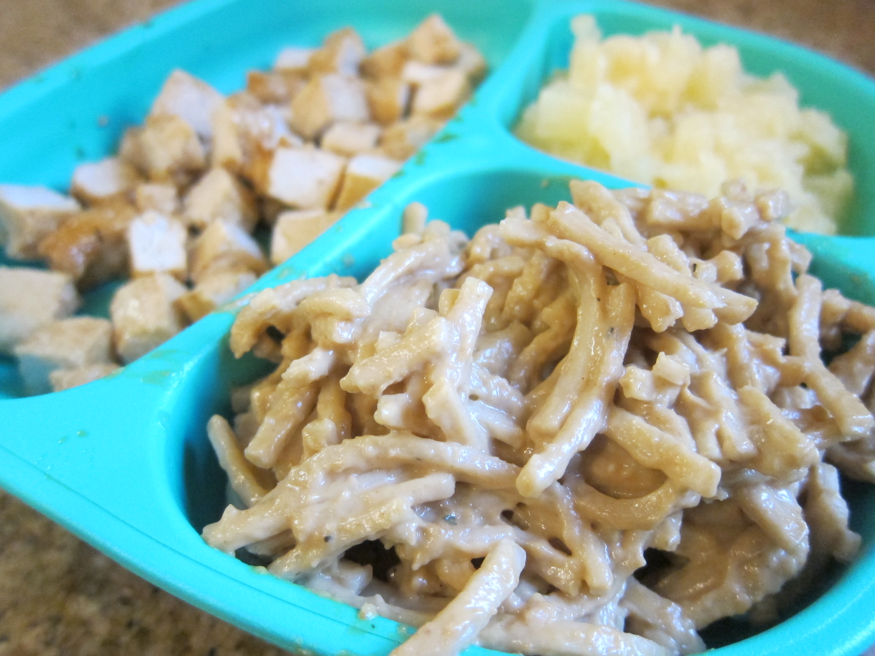 CHicken and Udon Noodles (2)