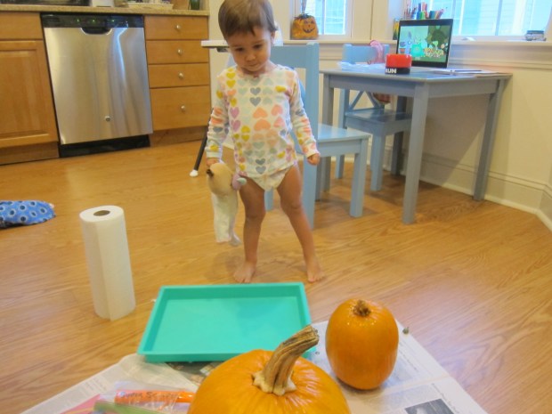 Exploring Pumpkin Guts (1)