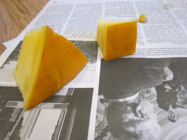Exploring Pumpkin Guts (10)