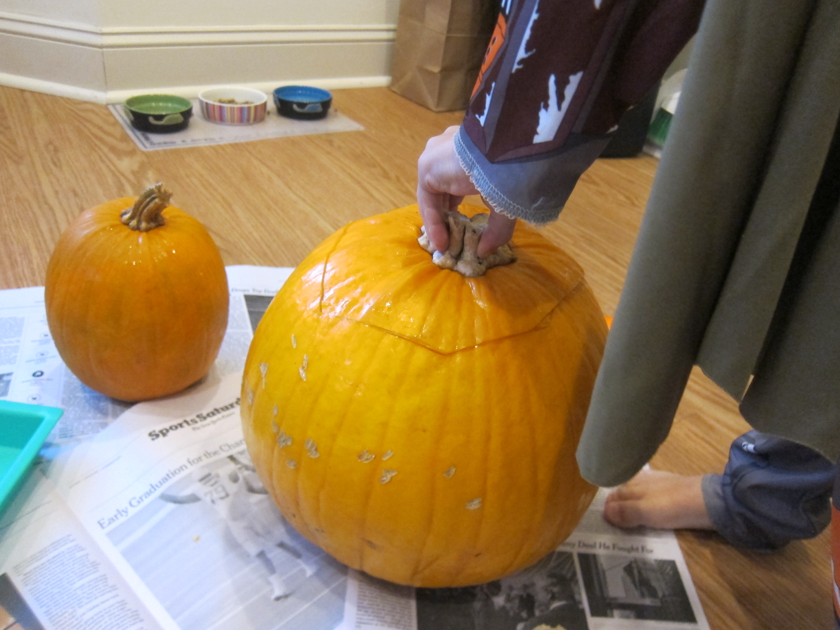 Exploring Pumpkin Guts (2)