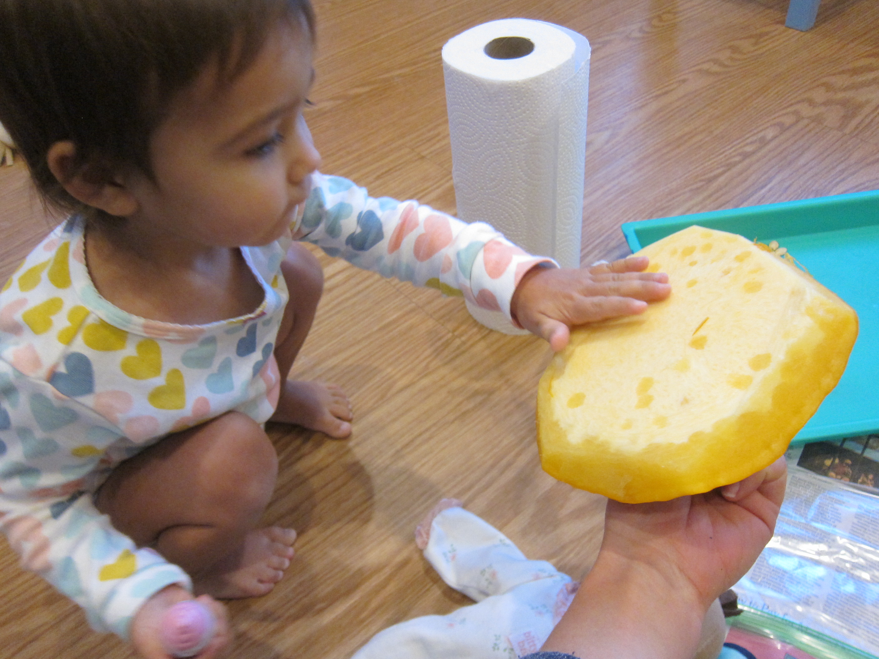 Exploring Pumpkin Guts (3)