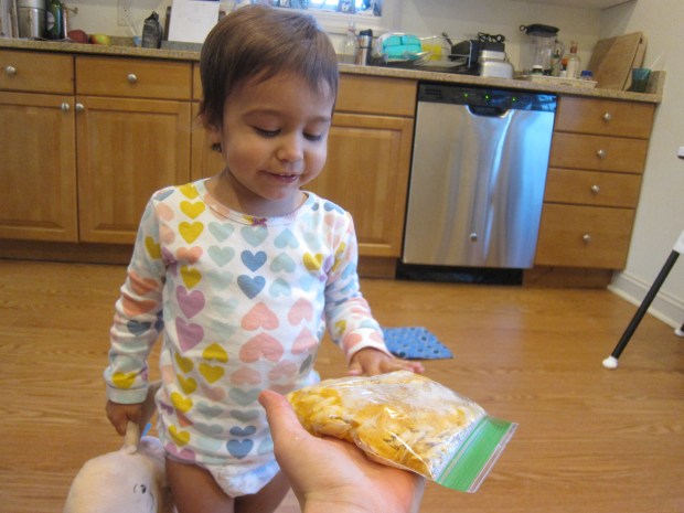 Exploring Pumpkin Guts (6)