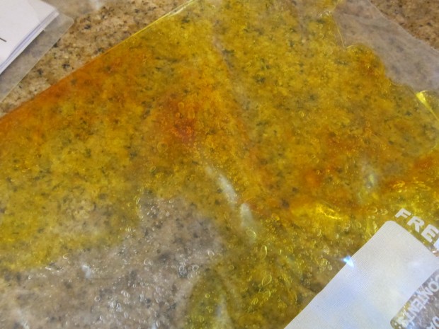 Fall Squishy Bag (1)