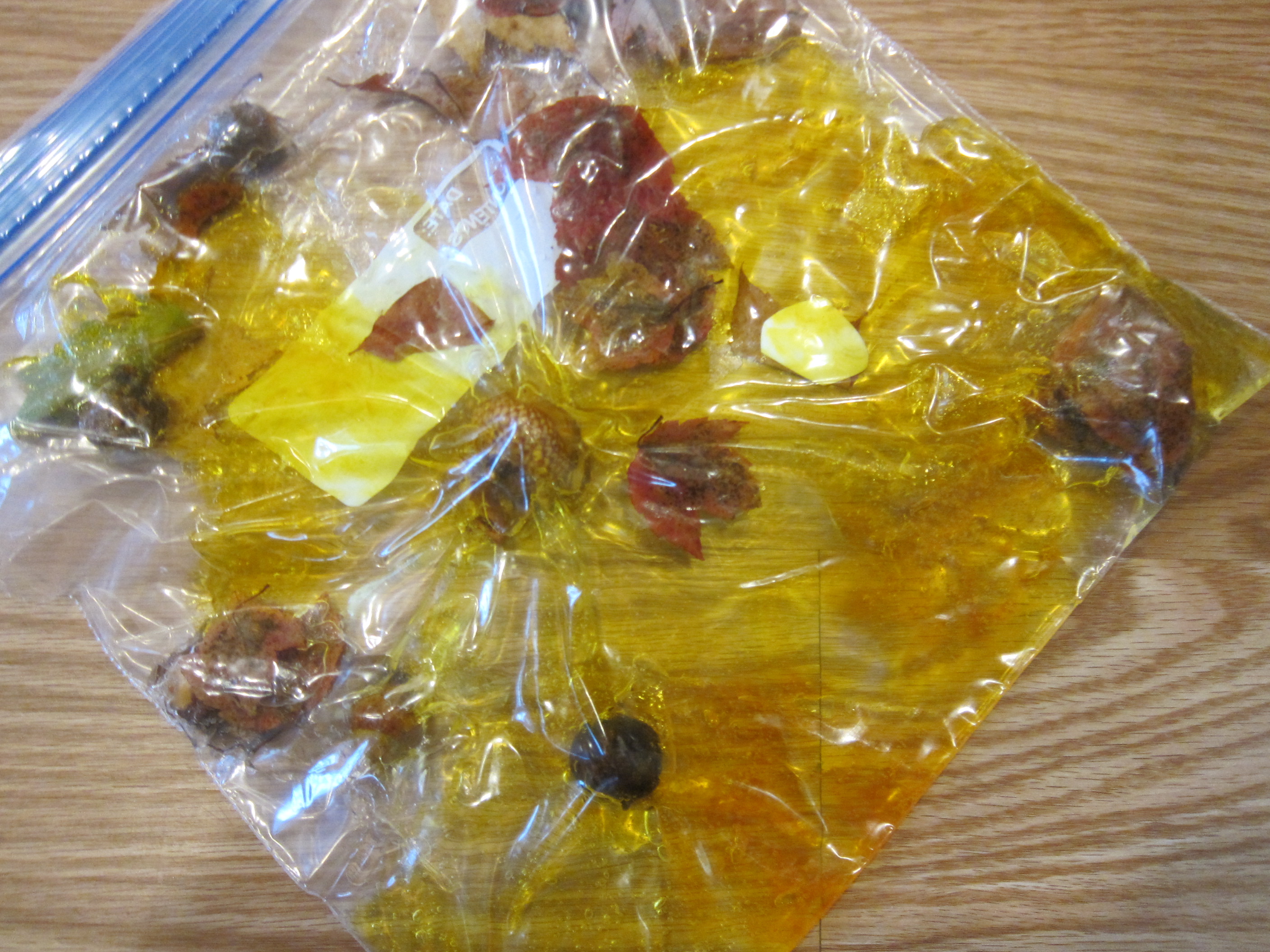 Fall Squishy Bag (2)