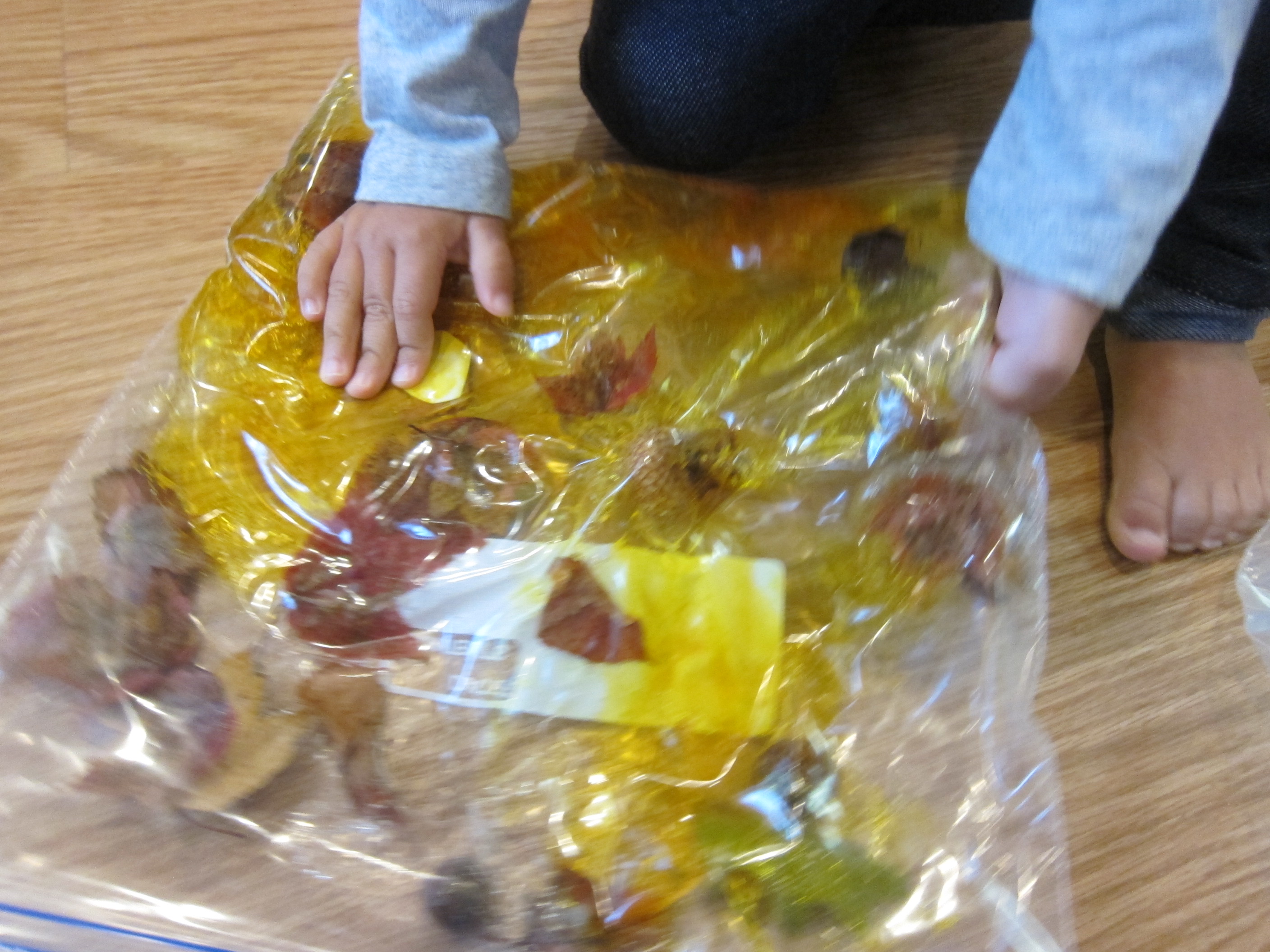 Fall Squishy Bag (4)