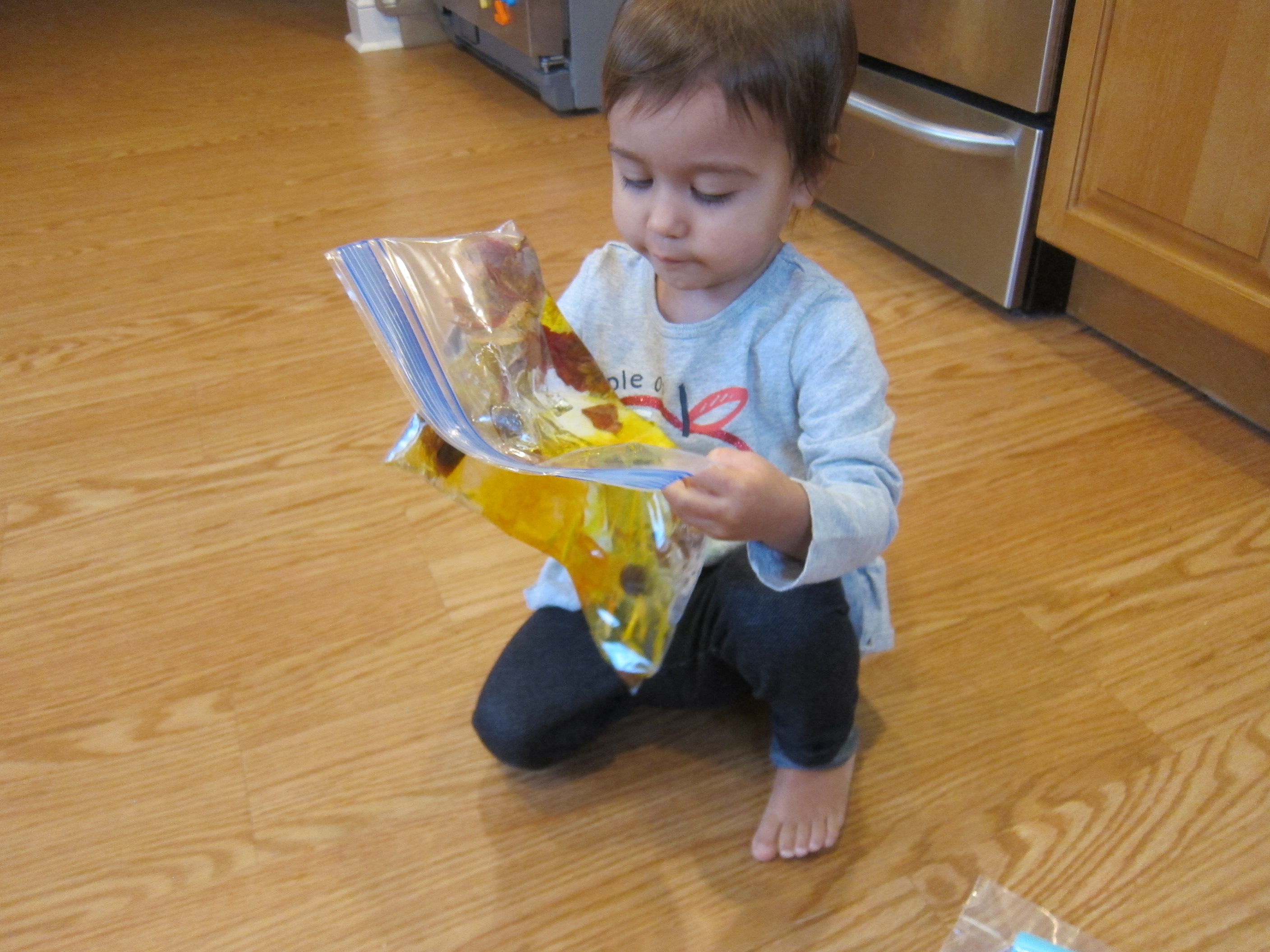 Fall Squishy Bag (5)