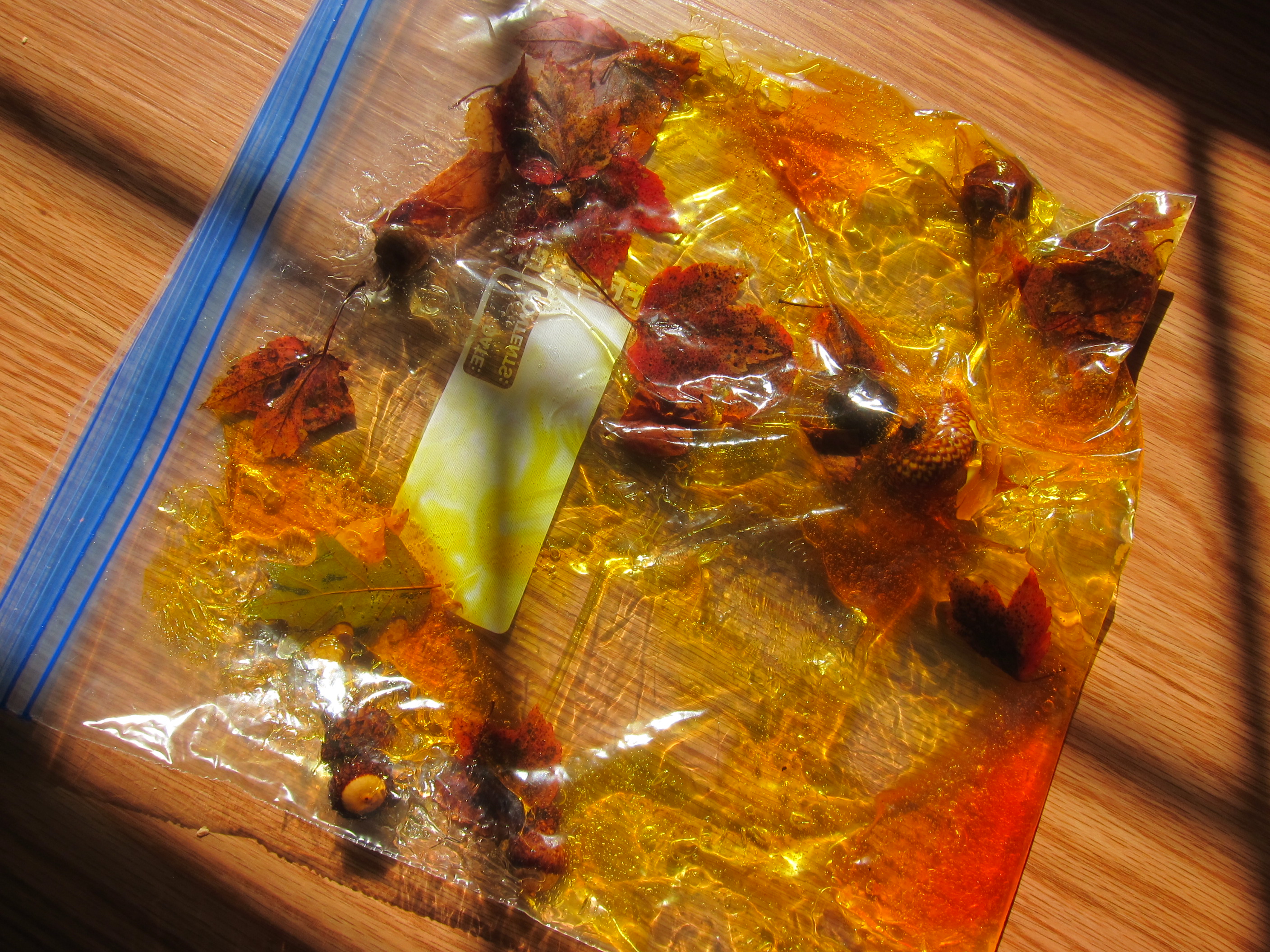 Fall Squishy Bag (7)