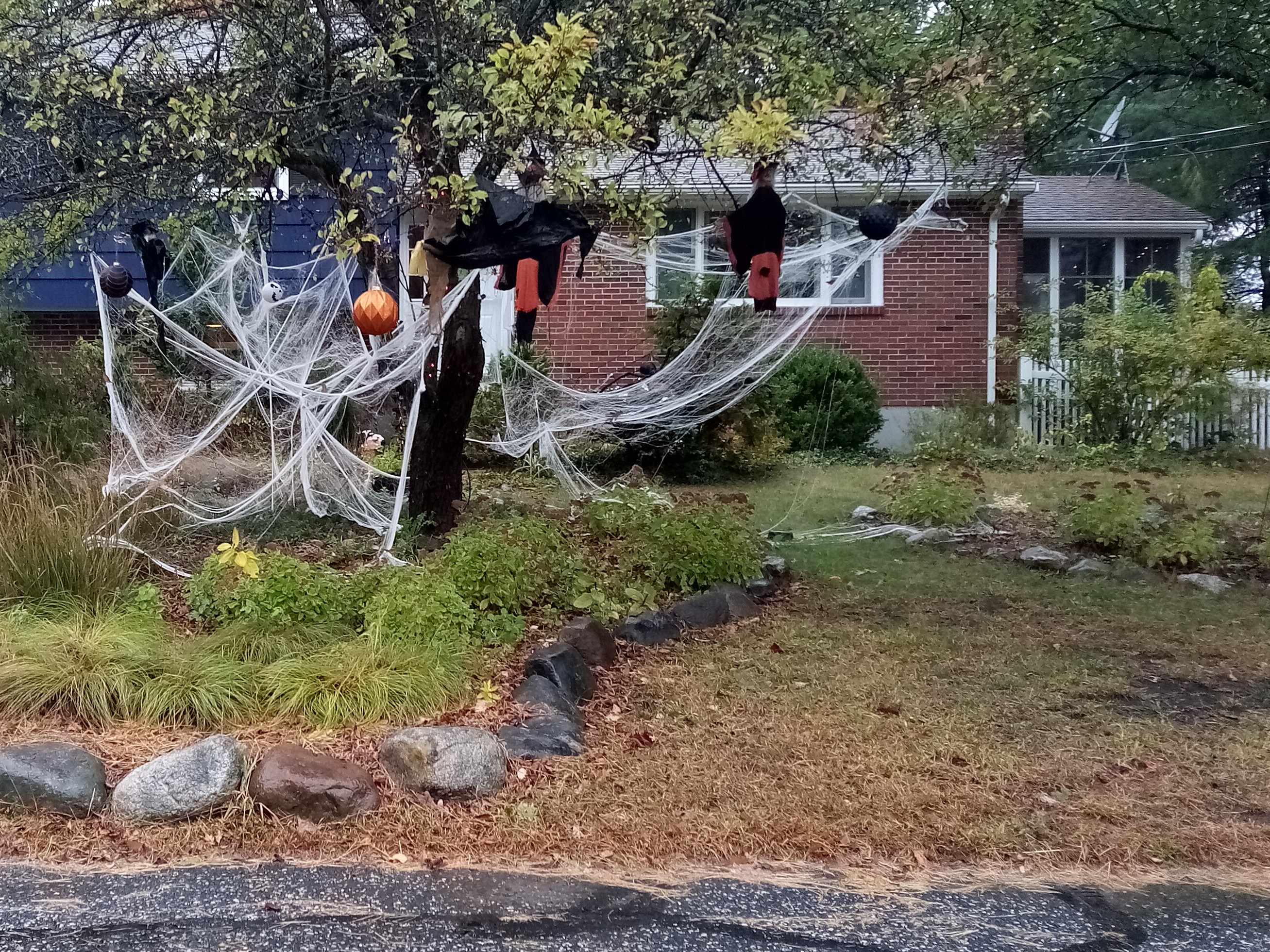 Halloween 14 Tour the Neighborhood (3)