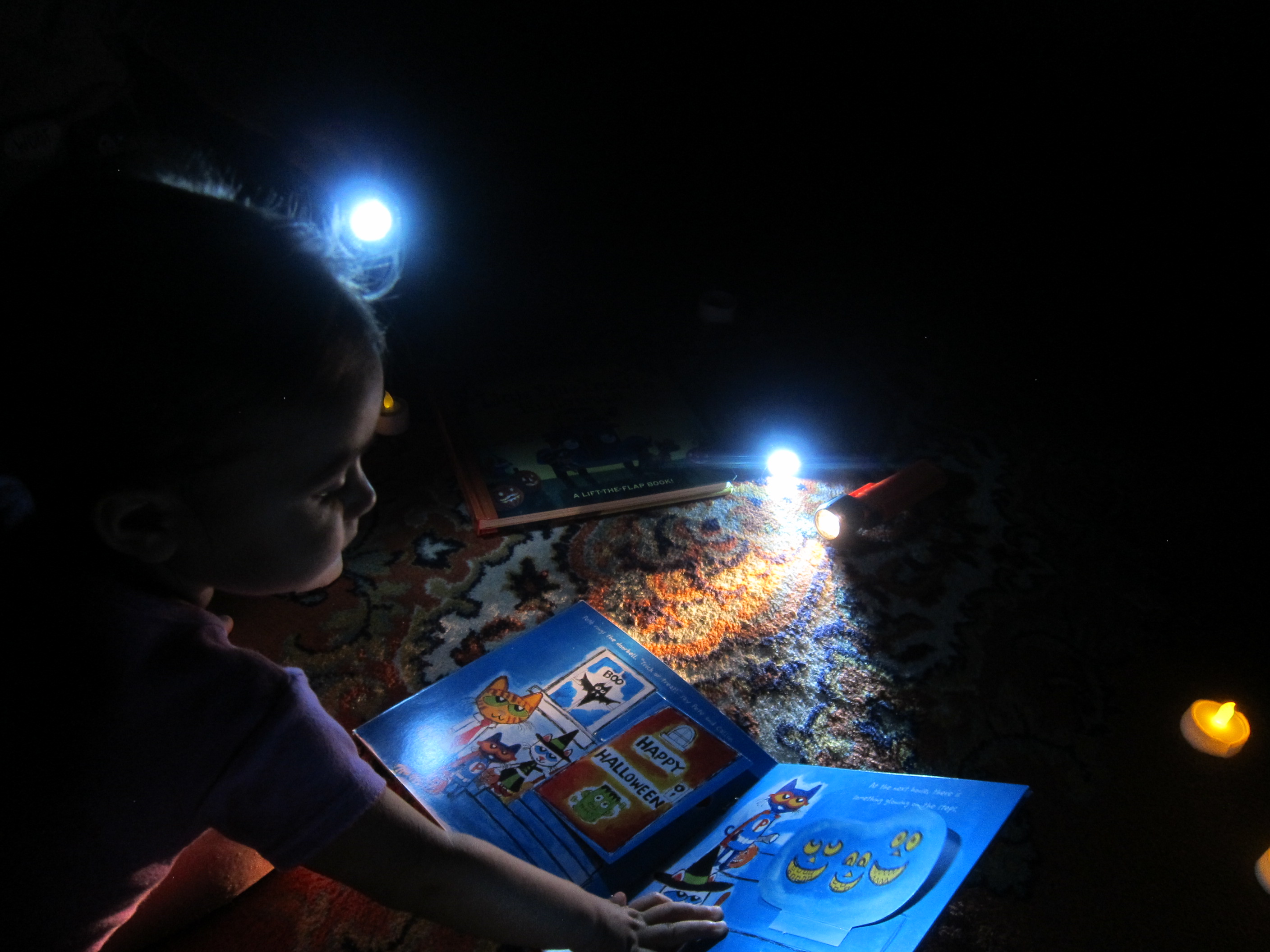 Halloween 17 Flashlight Stories (4)