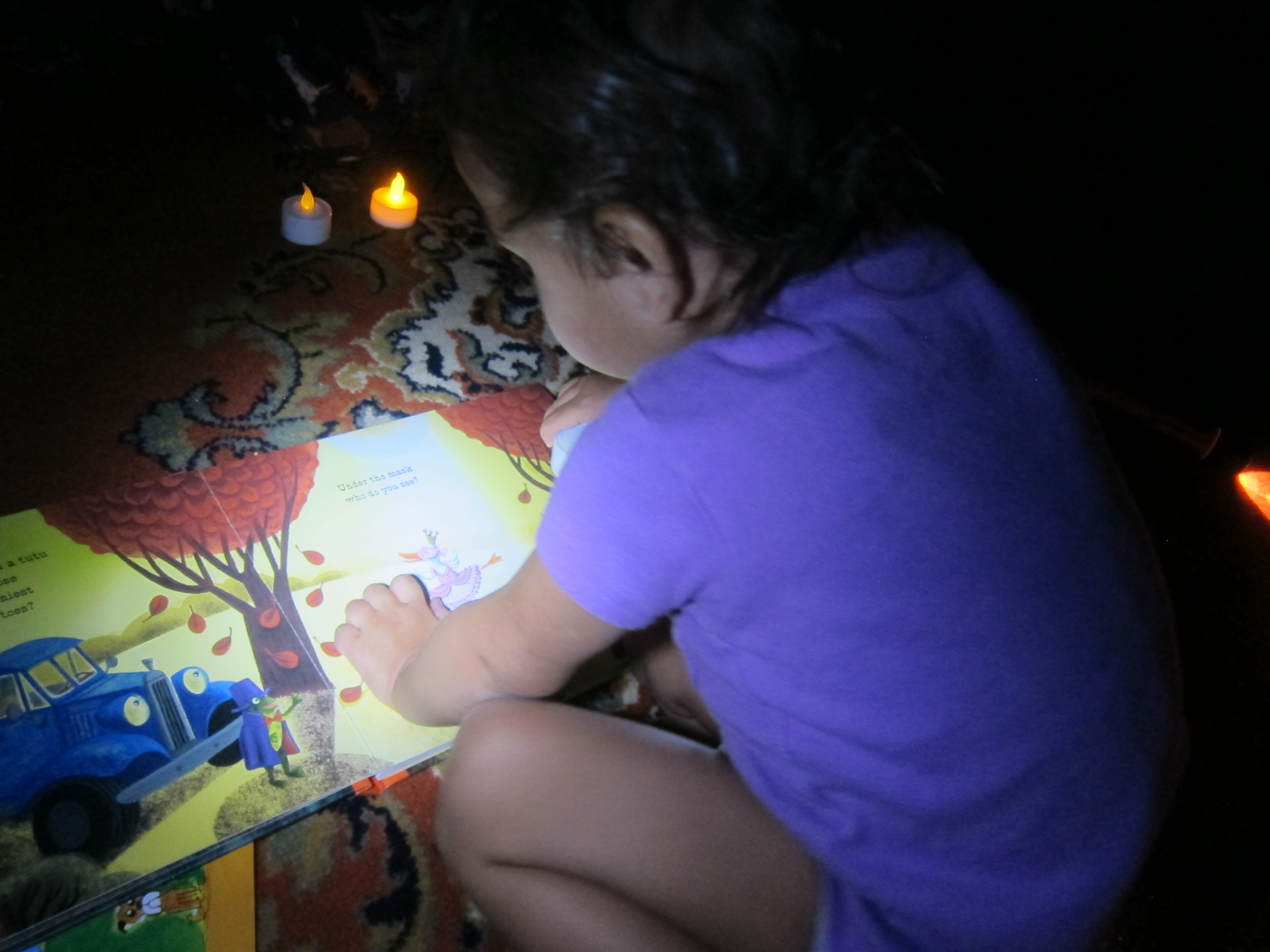 Halloween 17 Flashlight Stories (5)