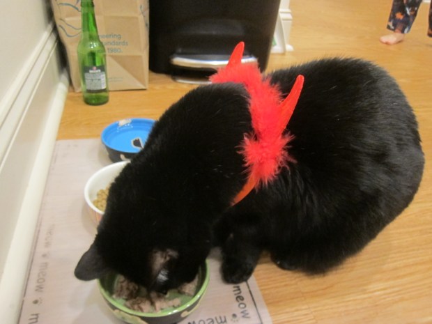 Halloween 21 Doggie Dress Up (1)