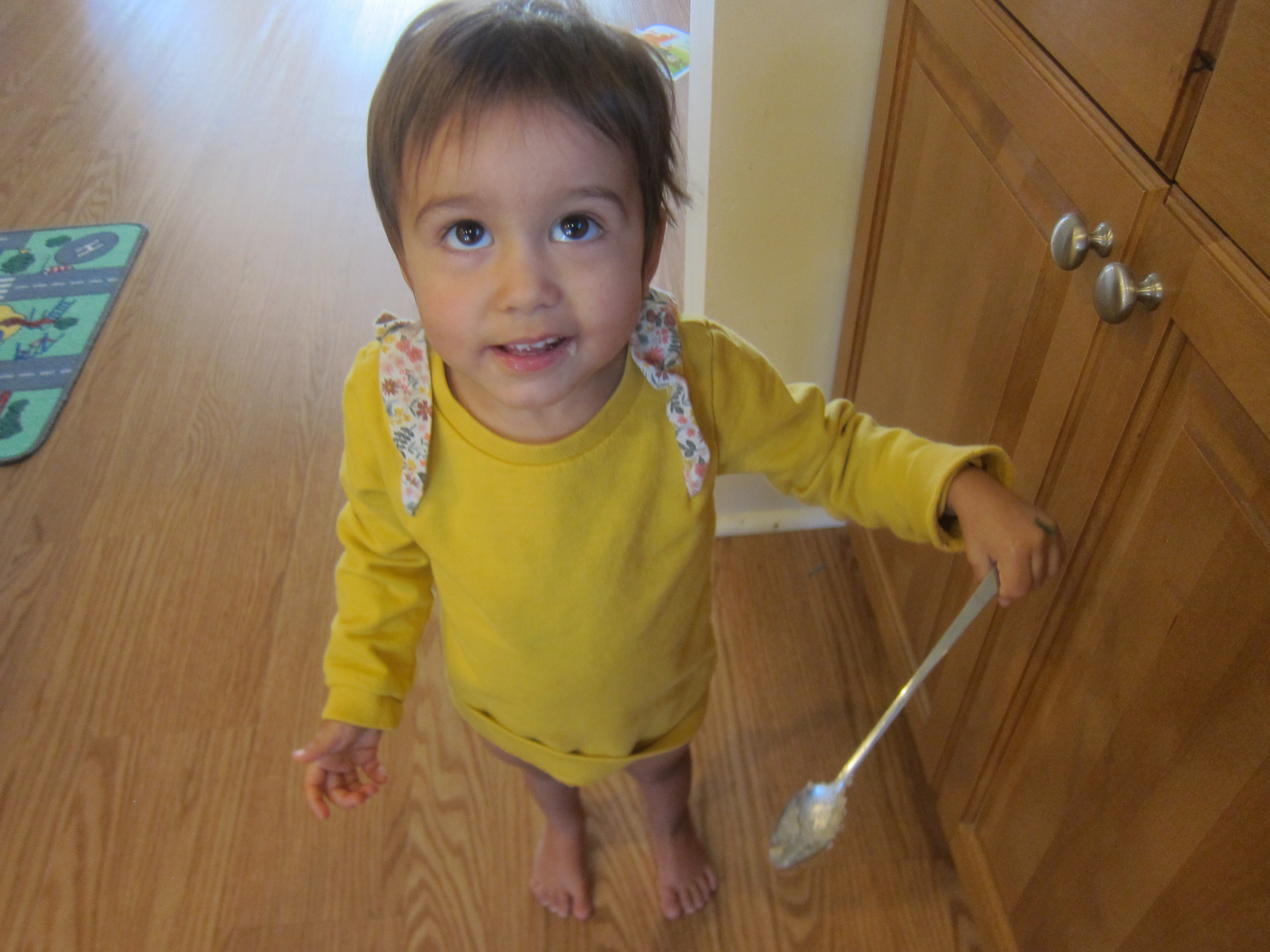 Halloween 8 No Bake Pumpkin Pie (2)