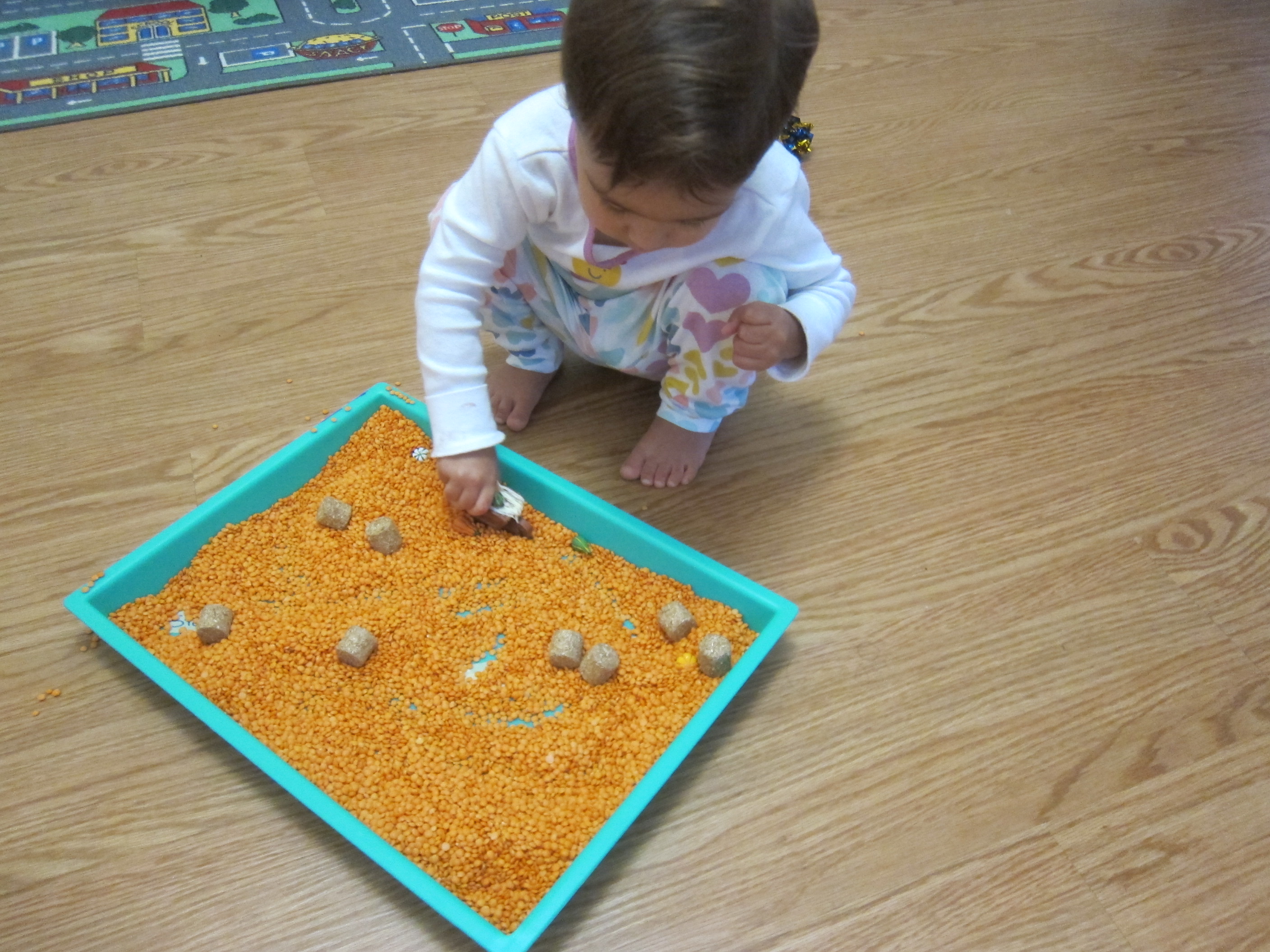 Maze Through Lentils (10)