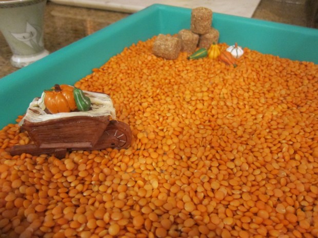 Maze Through Lentils (2)